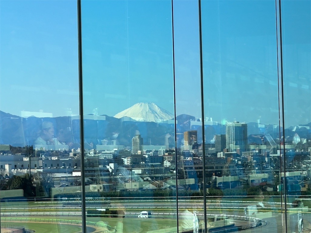 f:id:terakobuta:20240128010651j:image