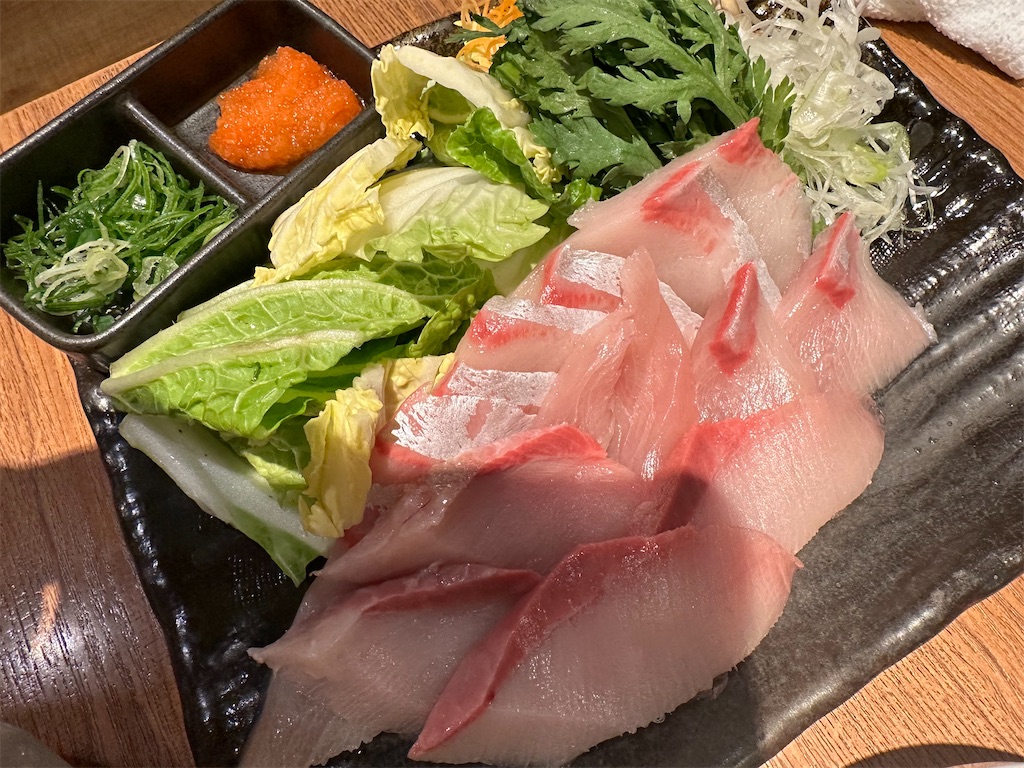 f:id:terakobuta:20240205025658j:image