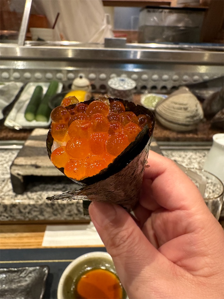 f:id:terakobuta:20240314111351j:image