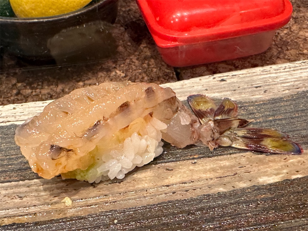 f:id:terakobuta:20240314111440j:image