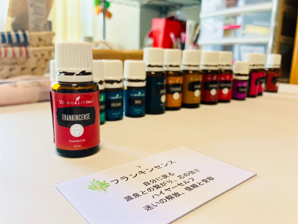 f:id:terakobuta:20240730101946j:image