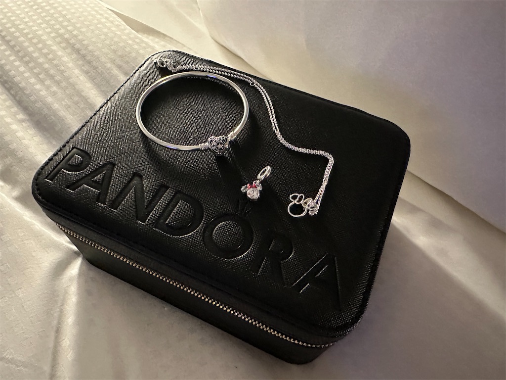 f:id:terakobuta:20241226094829j:image f:id:terakobuta:20241226094829j:image