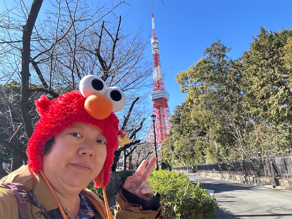 f:id:terakobuta:20250210001405j:image