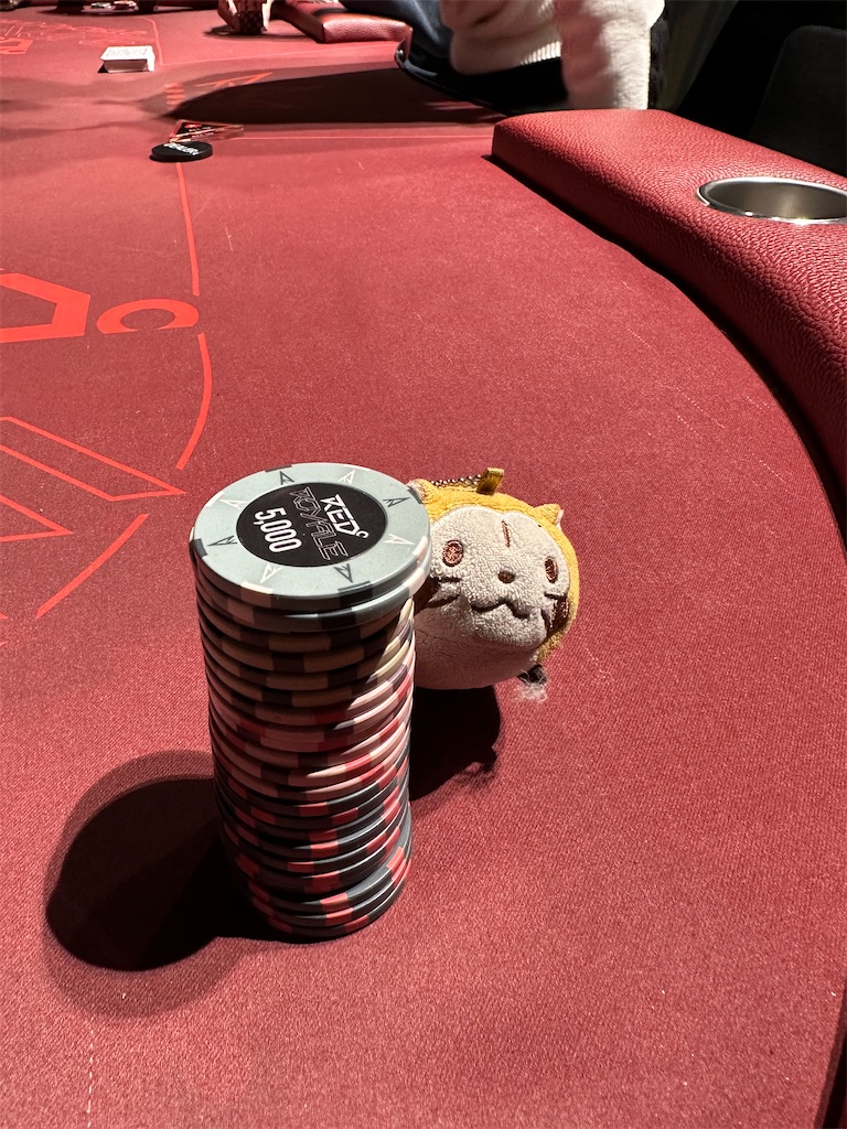 f:id:terakobuta:20250210001552j:image