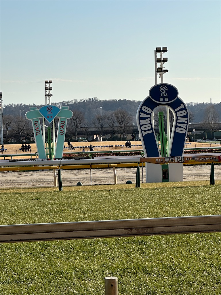 f:id:terakobuta:20250216162615j:image