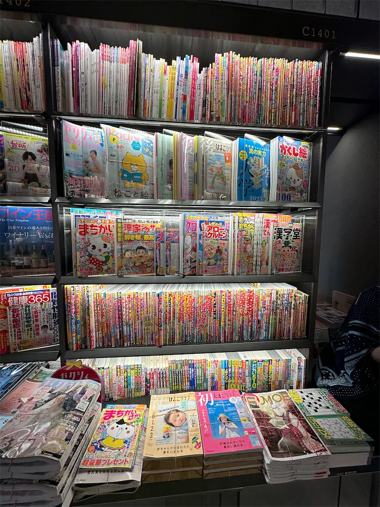 f:id:terakobuta:20250706031455j:image