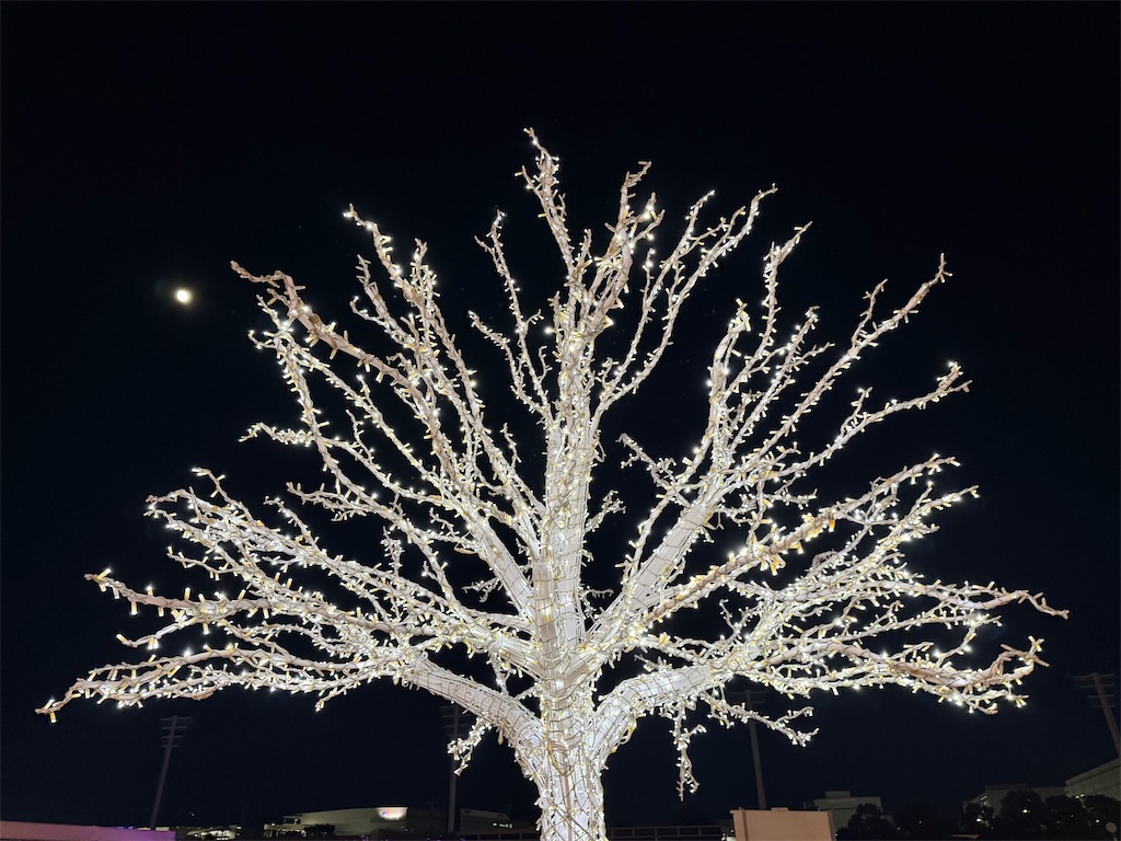 f:id:terakobuta:20251104012233j:image f:id:terakobuta:20251104012233j:image