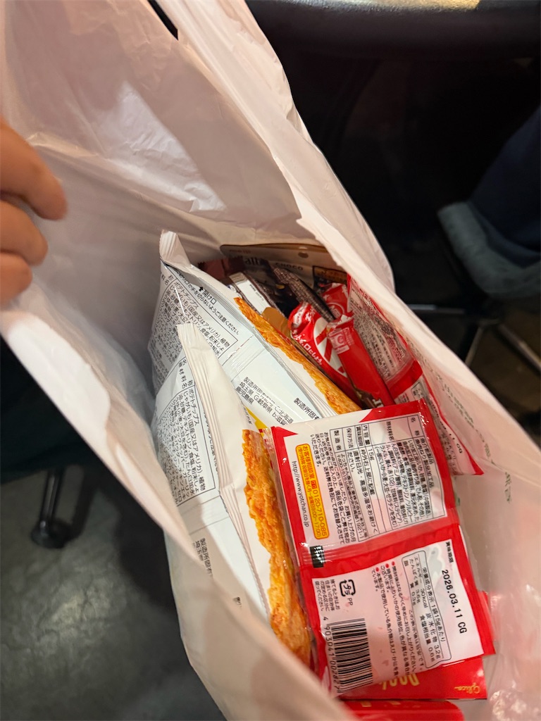 f:id:terakobuta:20251211184259j:image