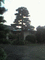 f:id:teramako:20060915150519j:image:small