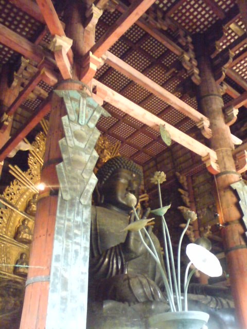 f:id:teramako:20081228144319j:image:h400