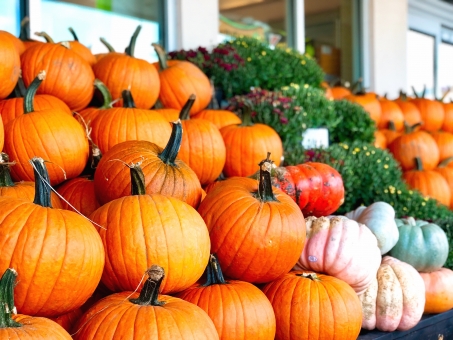 f:id:teranokanitomato:20181209184322j:plain f:id:teranokanitomato:20181209184322j:plain