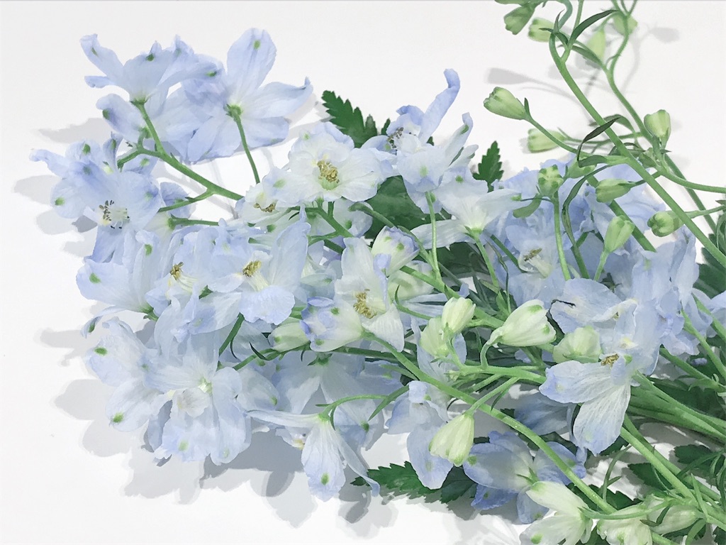 f:id:teratchi:20190805203722j:plain