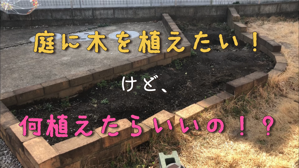 f:id:terateray:20210305170526p:plain
