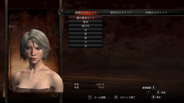 ドラゴンズドグマ ネタバレほぼなし感想と次回作への要望 てれひこ屋