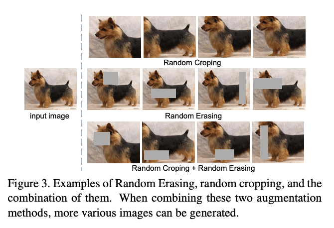 f:id:tereka:20200104174513p:plain:w500