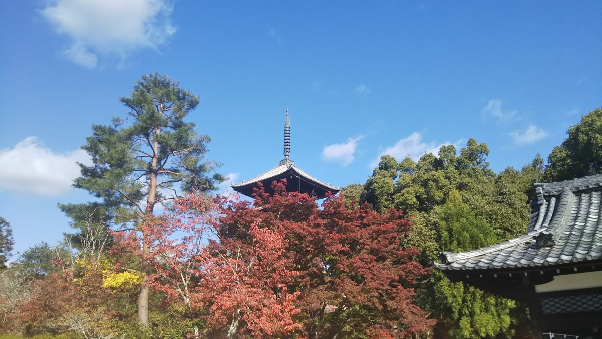 f:id:teresan:20191124170025j:plain