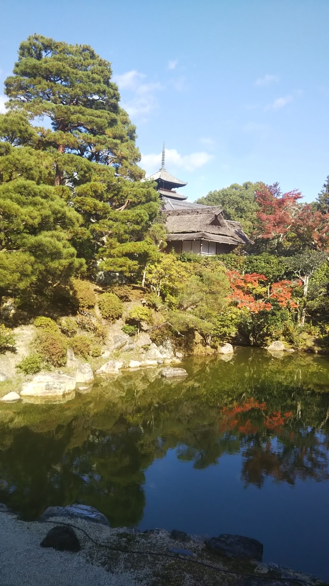 f:id:teresan:20191124170206j:plain