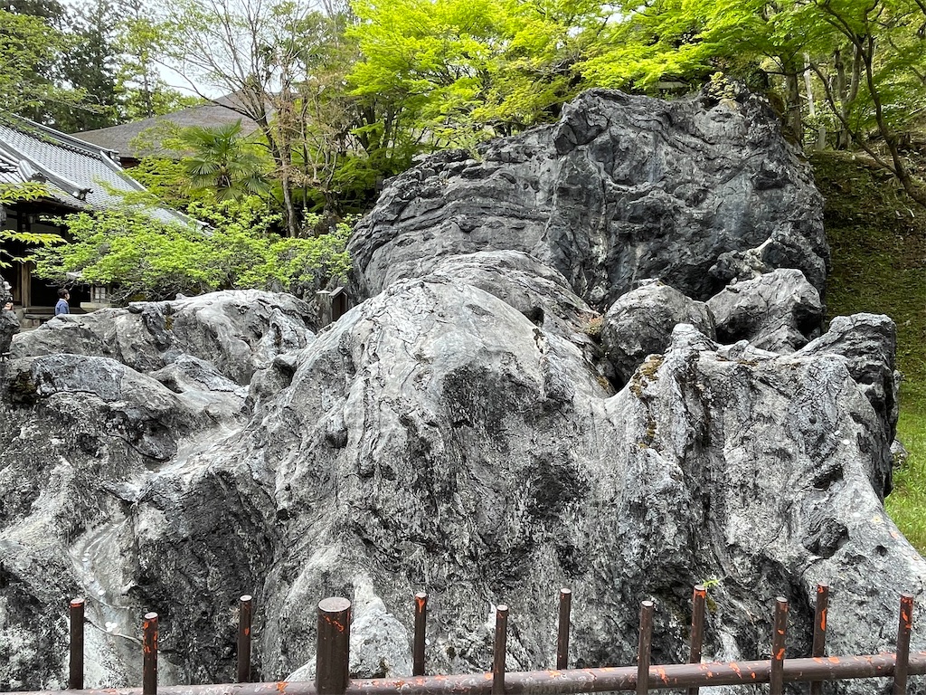 f:id:teresatotomoni:20240421120009j:image