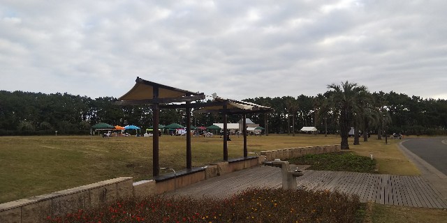 f:id:teri_run:20191102090143j:plain f:id:teri_run:20191102090143j:plain