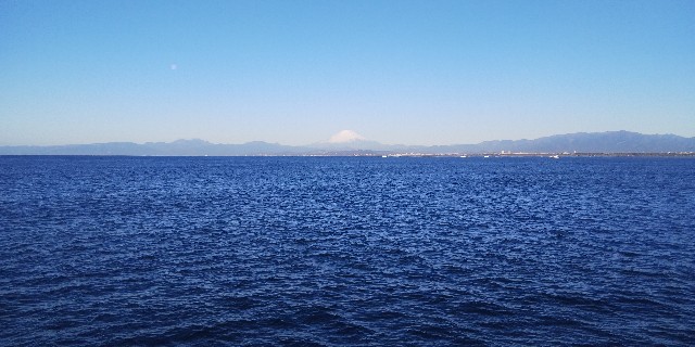 f:id:teri_run:20200312123414j:image f:id:teri_run:20200312123414j:image