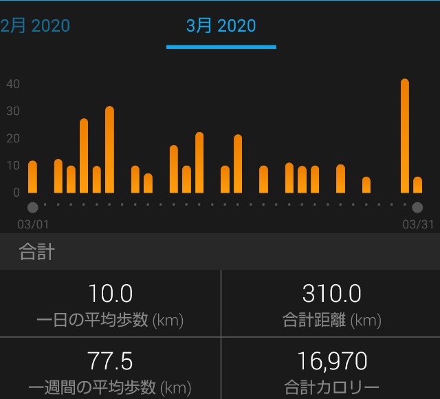 f:id:teri_run:20200331214833j:image f:id:teri_run:20200331214833j:image