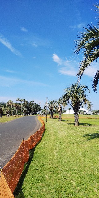 f:id:teri_run:20200530165802j:plain f:id:teri_run:20200530165802j:plain