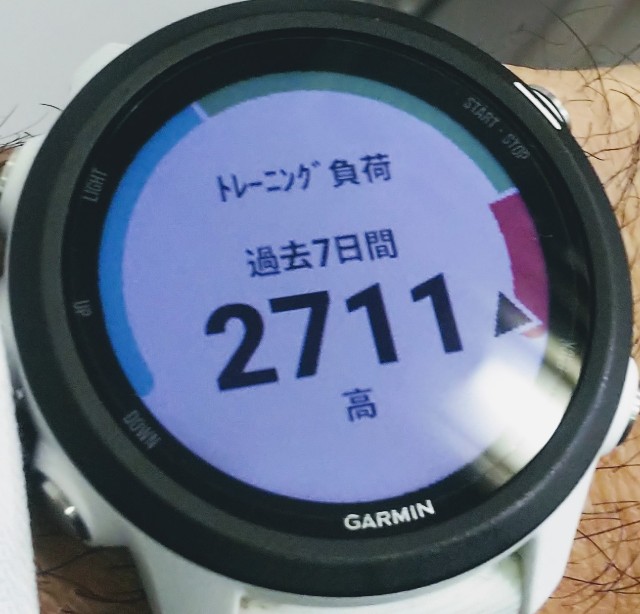 f:id:teri_run:20201111203252j:image