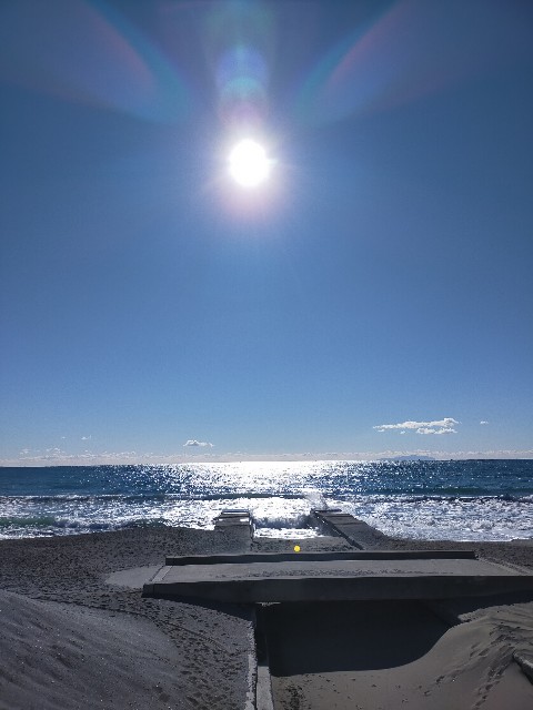 f:id:teri_run:20210109222333j:image f:id:teri_run:20210109222333j:image