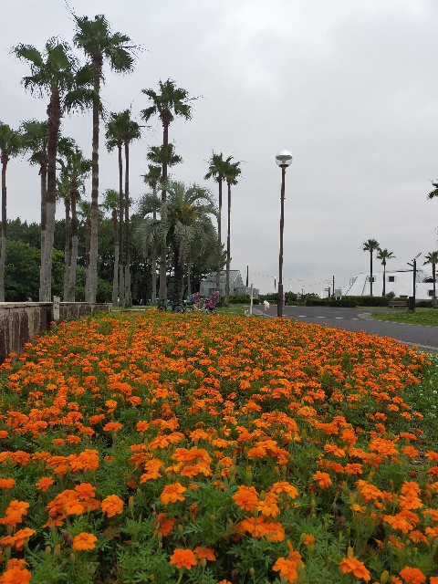 f:id:teri_run:20210703202850j:image