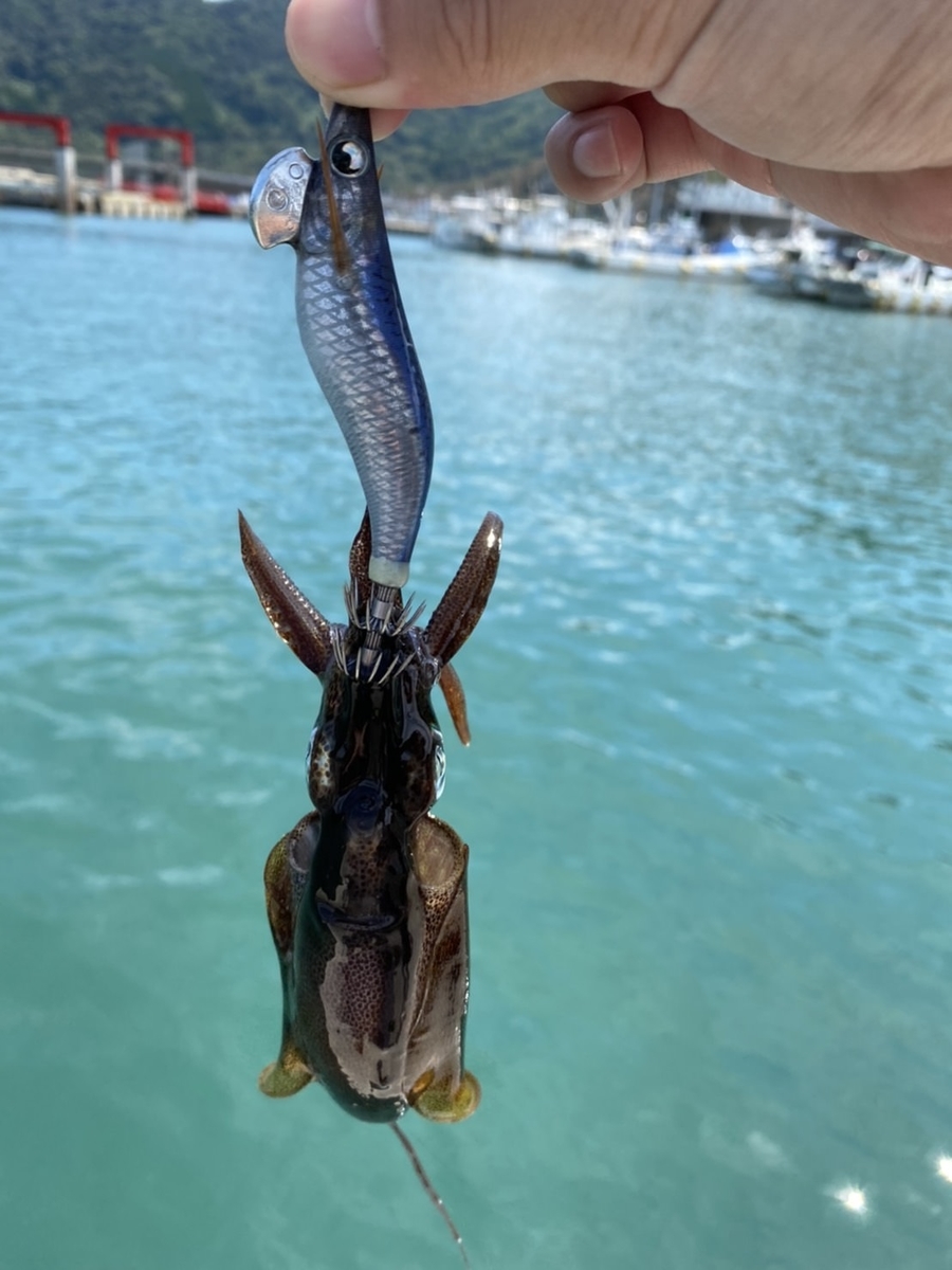 御所浦 釣り ポイント