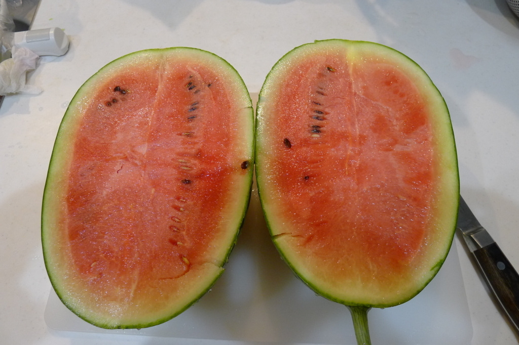 f:id:teribozi:20170727215511j:plain f:id:teribozi:20170727215511j:plain
