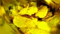 20120430204445