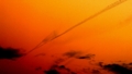 20120602031838