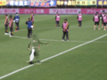 20110504225530