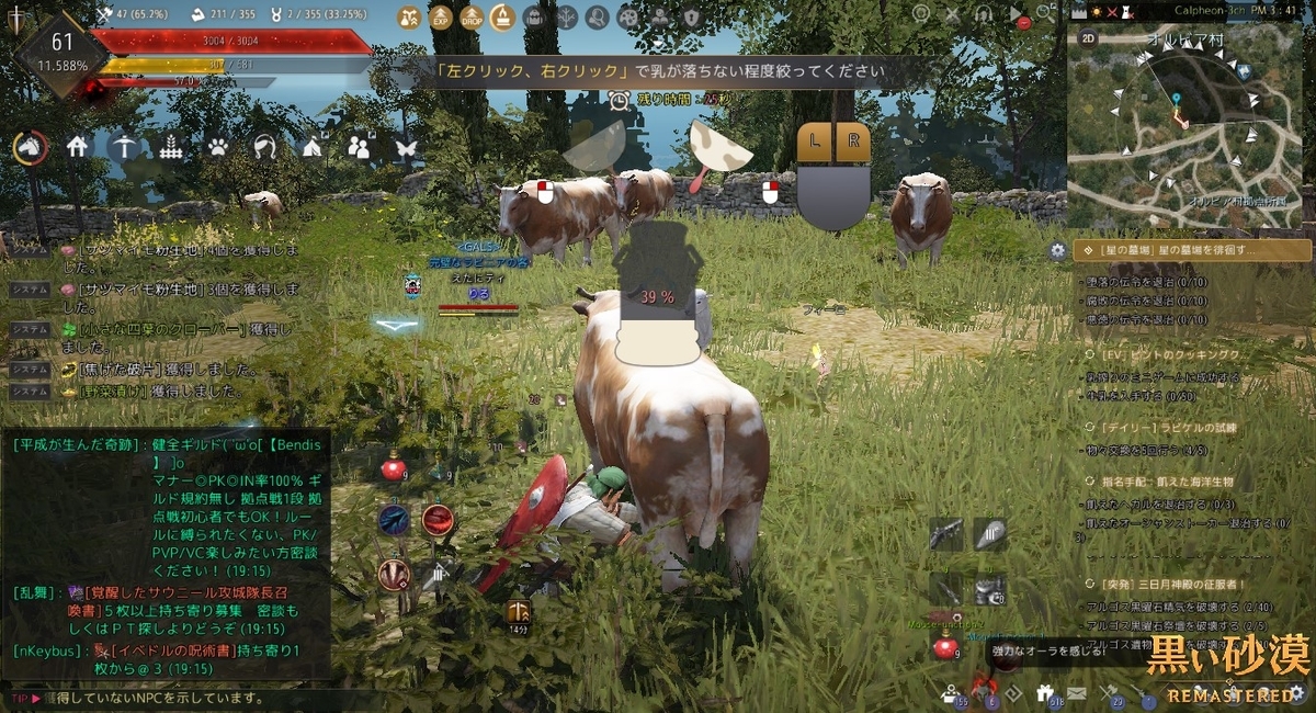 イベント ピントの料理教室 始まるよーをやってきました 黒い砂漠 黒い砂漠の永遠 Black Desert