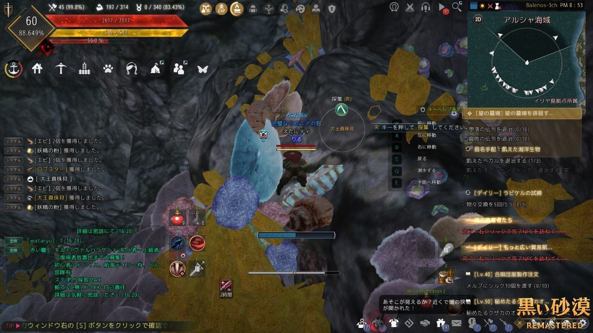 大王真珠貝とマグロ釣り 大量に取れるものではないらしい 黒い砂漠 黒い砂漠の永遠 Black Desert 大王真珠貝とマグロ釣り 大量に取れるものではないらしい 黒い砂漠 黒い砂漠の永遠 Black Desert