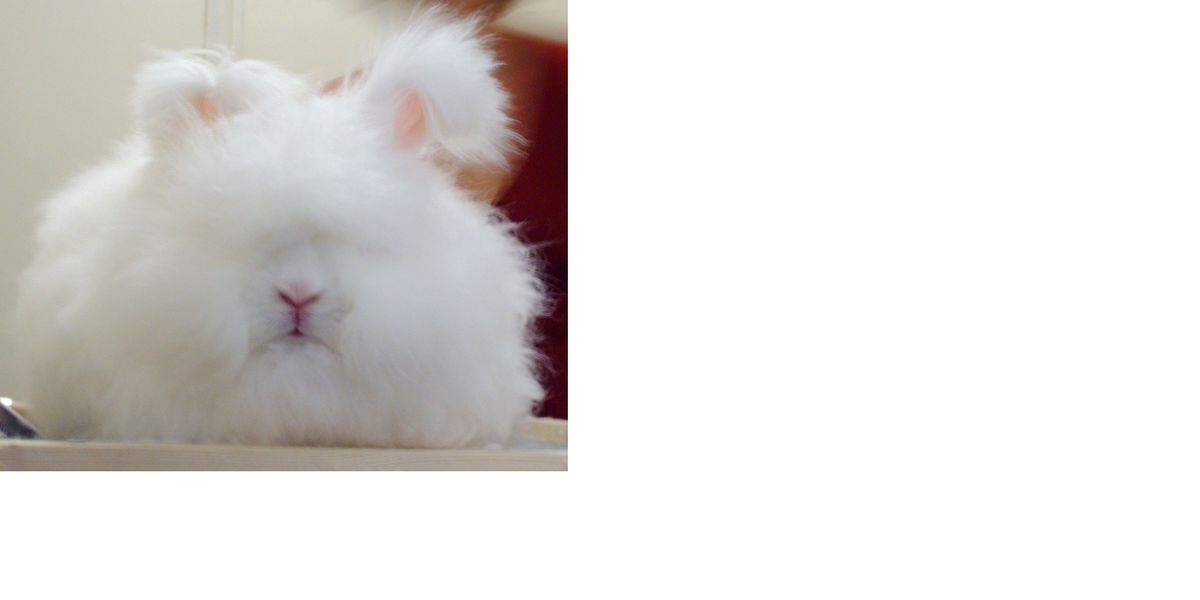 f:id:ternity:20210629210155p:plain