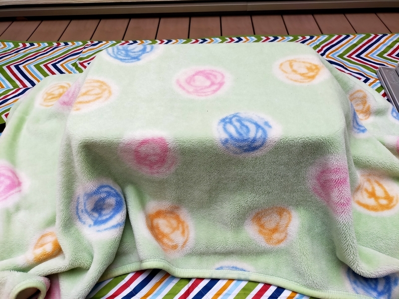 f:id:terrace_camper:20210126143405j:plain