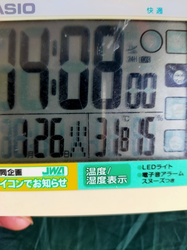 f:id:terrace_camper:20210126145428j:plain