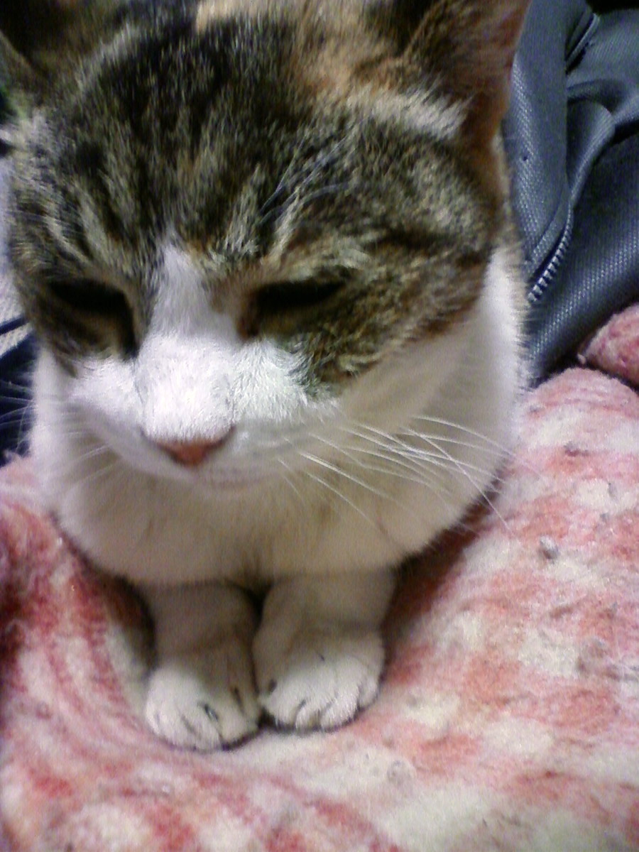 f:id:terraxart:20110929001827j:plain f:id:terraxart:20110929001827j:plain