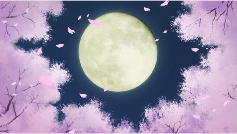 f:id:terry-rice:20161013213831j:image:w360