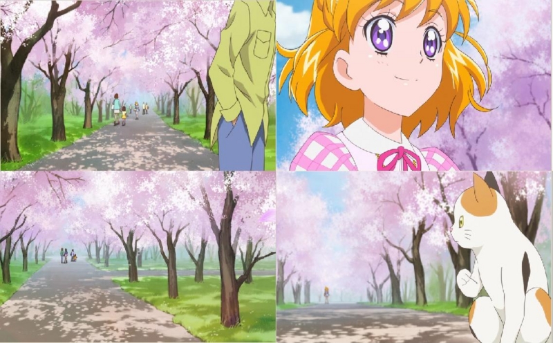 f:id:terry-rice:20161014221700j:image:w360