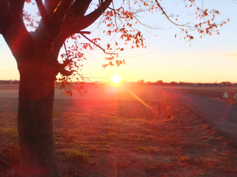 f:id:terry2012:20121210065926j:image:w360