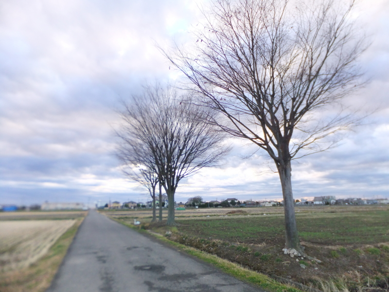 f:id:terry2012:20121231080244j:image:w360