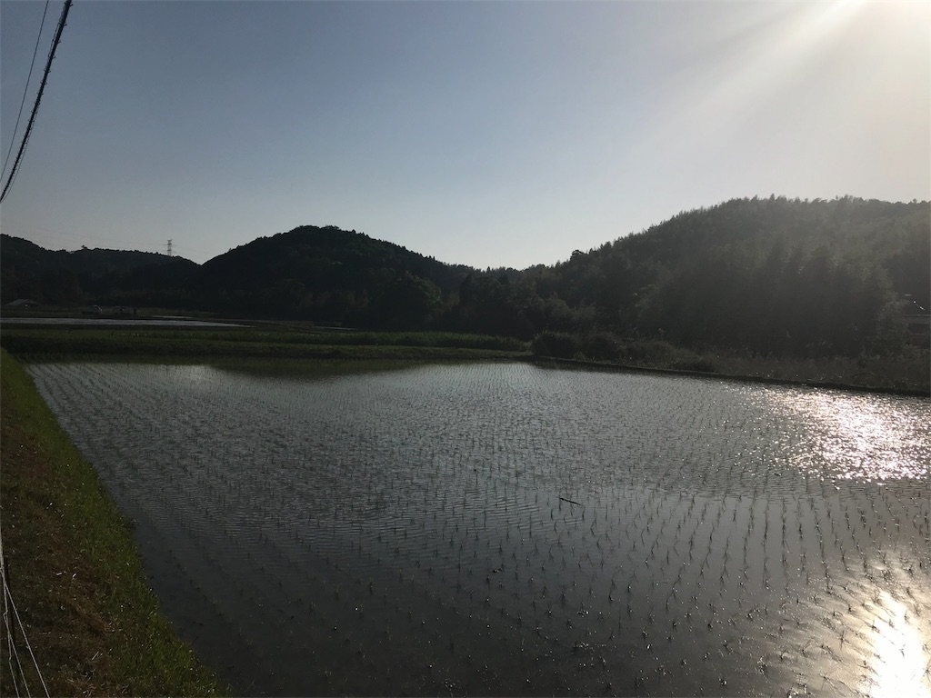 f:id:terryofficial:20180504175728j:image