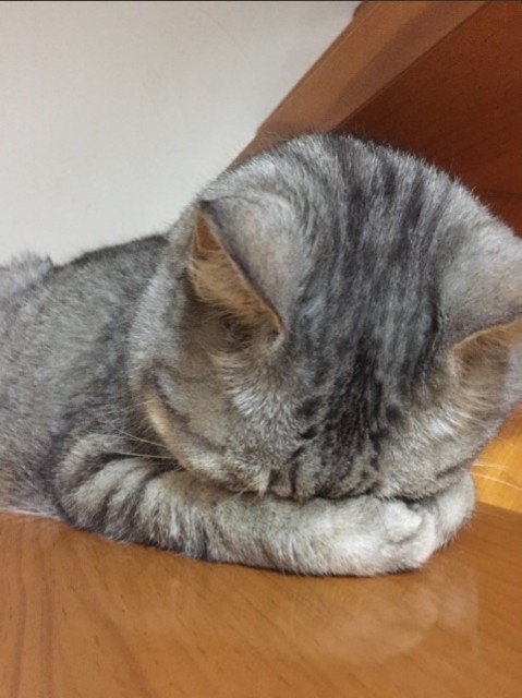 f:id:teru-sa:20181009214959j:image