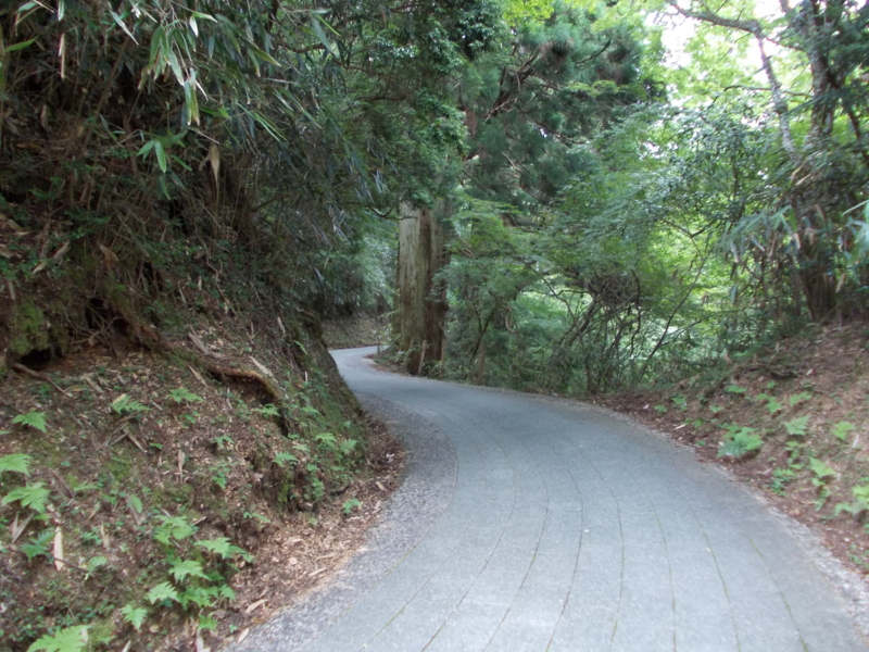 f:id:teru0702:20120805161128j:image:w360