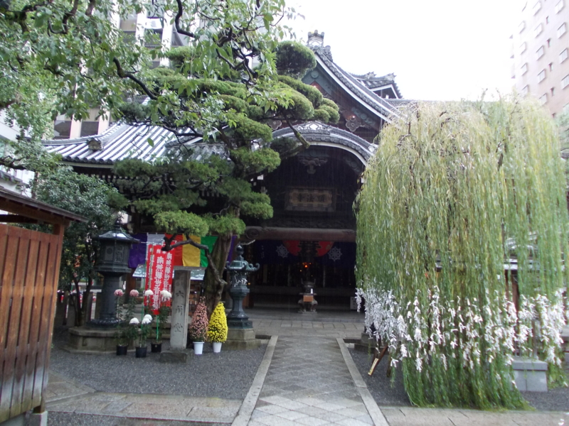 f:id:teru0702:20121111125933j:image:w640