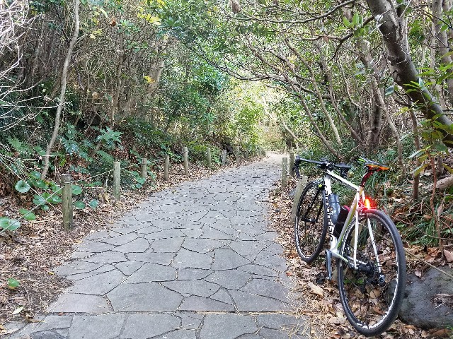 f:id:teru1025:20180112214932j:image