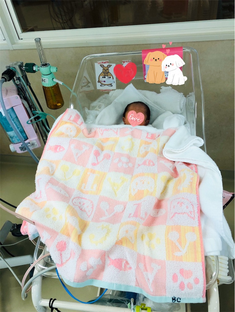 f:id:teru312:20200212184824j:image f:id:teru312:20200212184824j:image